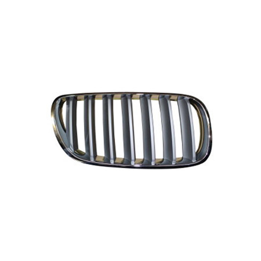 Right Passenger Side Grille For 07-10 BMW X3