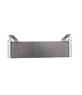 FO4050125_1.jpg