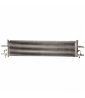 FO4050166_1.jpg