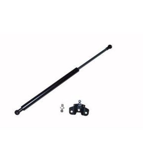 Hood For 08-12 Honda Accord