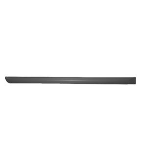 Right Passenger Side Door Trim & Molding For 03-07 Honda Accord